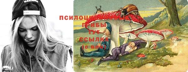 ALPHA-PVP Осинники