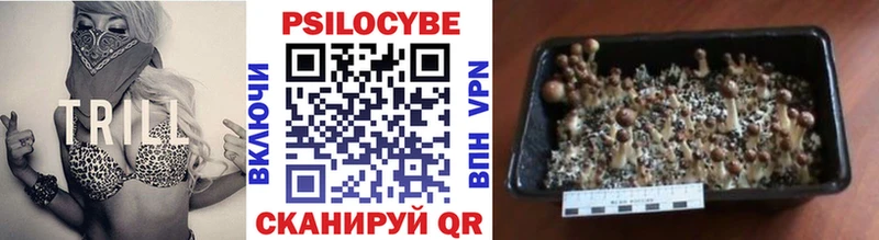 Галлюциногенные грибы ЛСД  Купить  Хасавюрт 