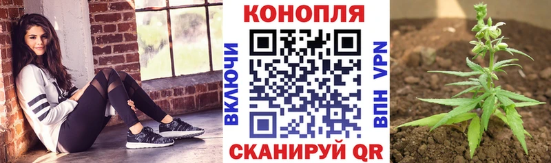 Купить закладки  Хасавюрт  Конопля VHQ 